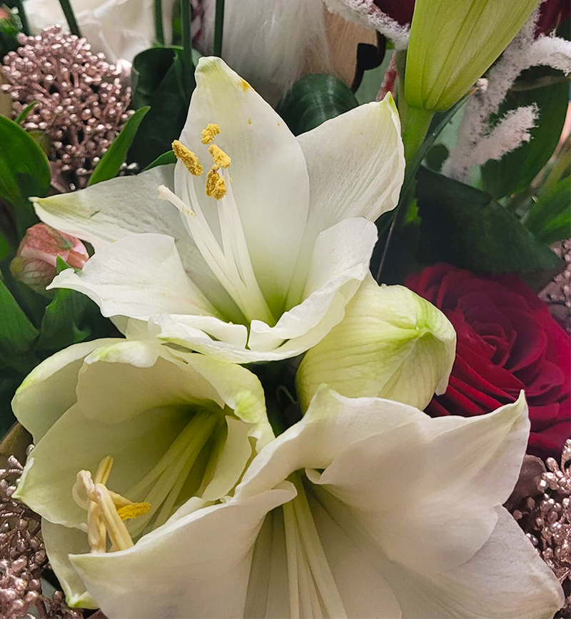 Bouquet de fleurs de lys blanches