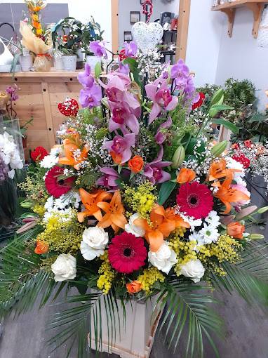 Composition en pot de fleurs roses rouges oranges et blanches