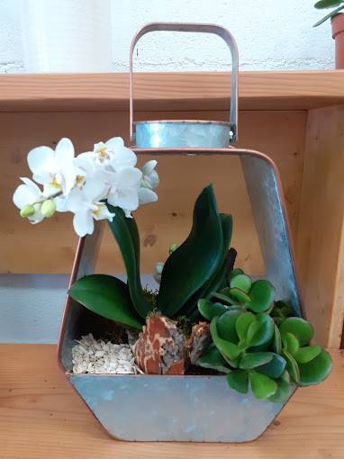 Composition avec orchidée blanche dans un pot en métal
